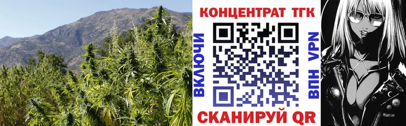 Дистиллят ТГК Wax OMG маркетплейс Черноголовка купить